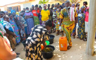 Pratique de la saponification (SOTOUBOUA-TOGO)